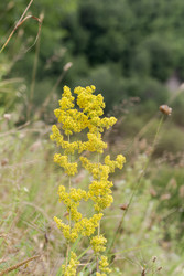 Similar image 22196129