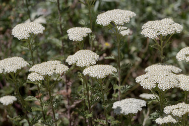 Similar image 22200534