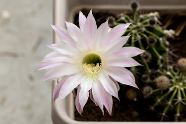 Similar image 22196130