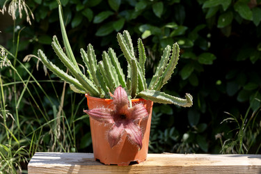 Similar image 22200535