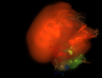 Similar image 22198616