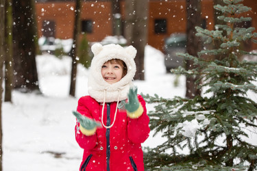 Similar image 22203996