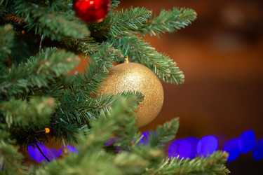 Similar image 22203998