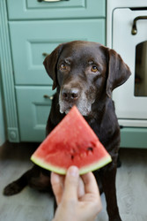 Similar image 22208063