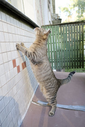 Similar image 22208064