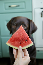 Similar image 22208066