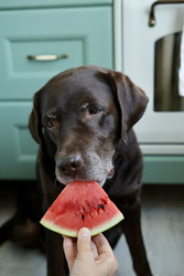 Similar image 22208067