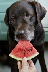 Similar image 22208330