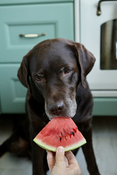 Similar image 22208331