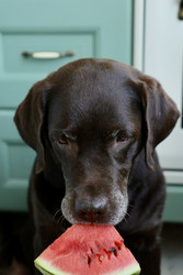 Similar image 22208334