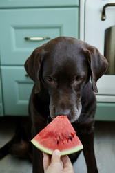 Similar image 22208335