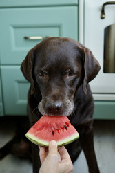 Similar image 22208337