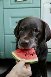 Similar image 22208338