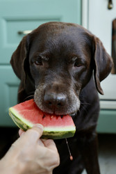 Similar image 22208341