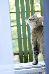 Similar image 22208342