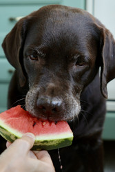 Similar image 22208344