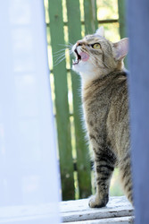 Similar image 22208346