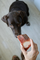 Similar image 22208479