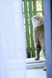 Similar image 22208481