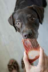 Similar image 22208483