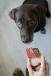 Similar image 22208484