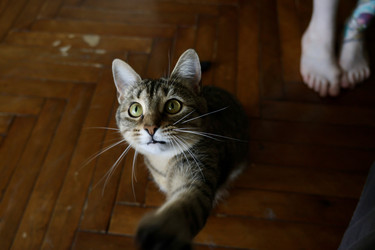 Similar image 22208491