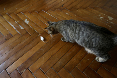 Similar image 22208492