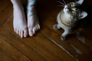 Similar image 22208493