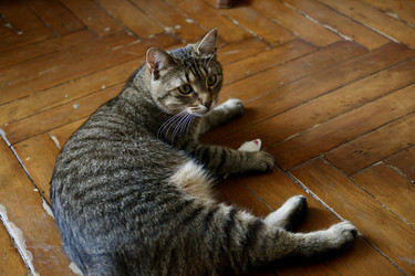 Similar image 22208495