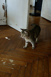 Similar image 22208496