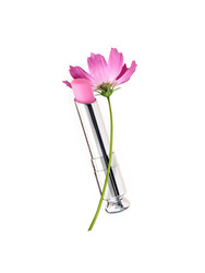 Similar image 22197012