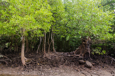 Similar image 22196140