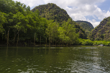 Similar image 22196146