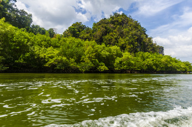 Similar image 22196148