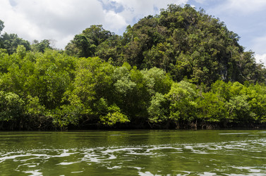 Similar image 22196151