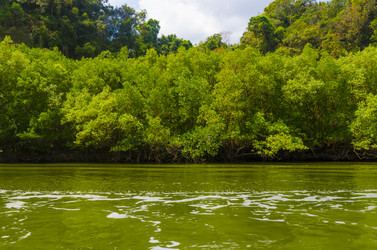 Similar image 22196152