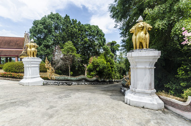 Similar image 22196153