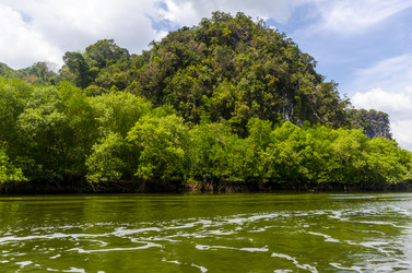 Similar image 22196155