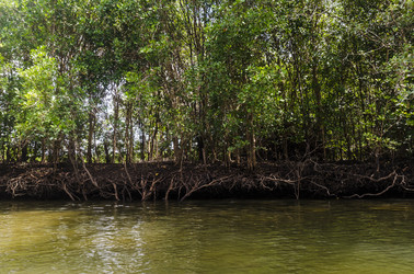 Similar image 22196161