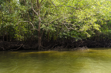 Similar image 22196162