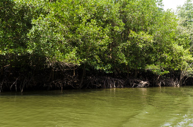 Similar image 22196164