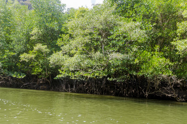 Similar image 22196165