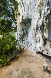 Similar image 22196421