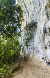 Similar image 22196423