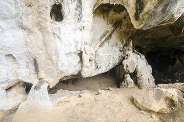 Similar image 22196429