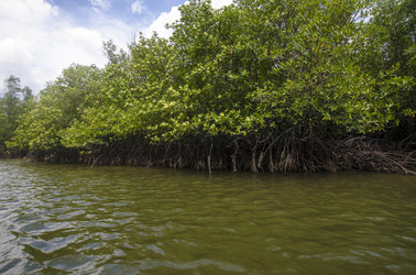 Similar image 22196444