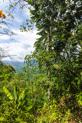 Similar image 22196445