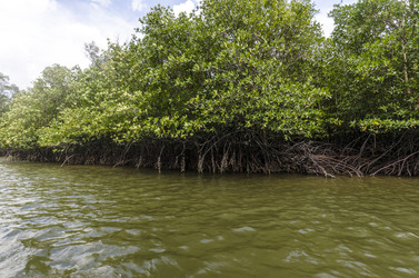 Similar image 22196446