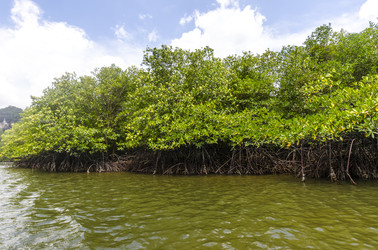 Similar image 22196449