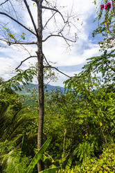 Similar image 22199810